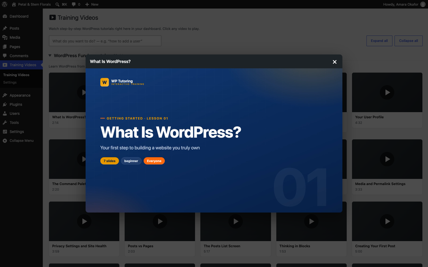 A lesson playing inside the WordPress dashboard, with the lesson list beside the player