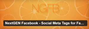 nextgen-facebook-social-meta-tags-for-facebook-google-pinterest-twitter-more