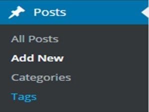 How To Add Tags in WordPress
