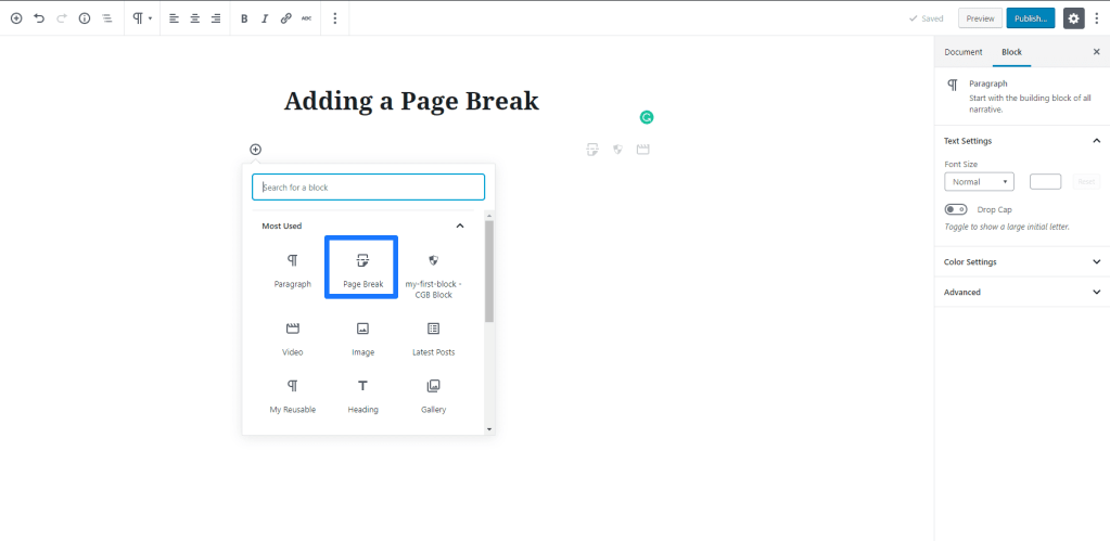Adding a Page Break in Gutenberg