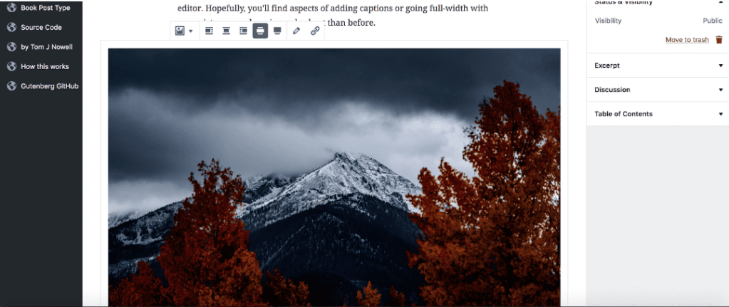 Adding an image in Gutenberg