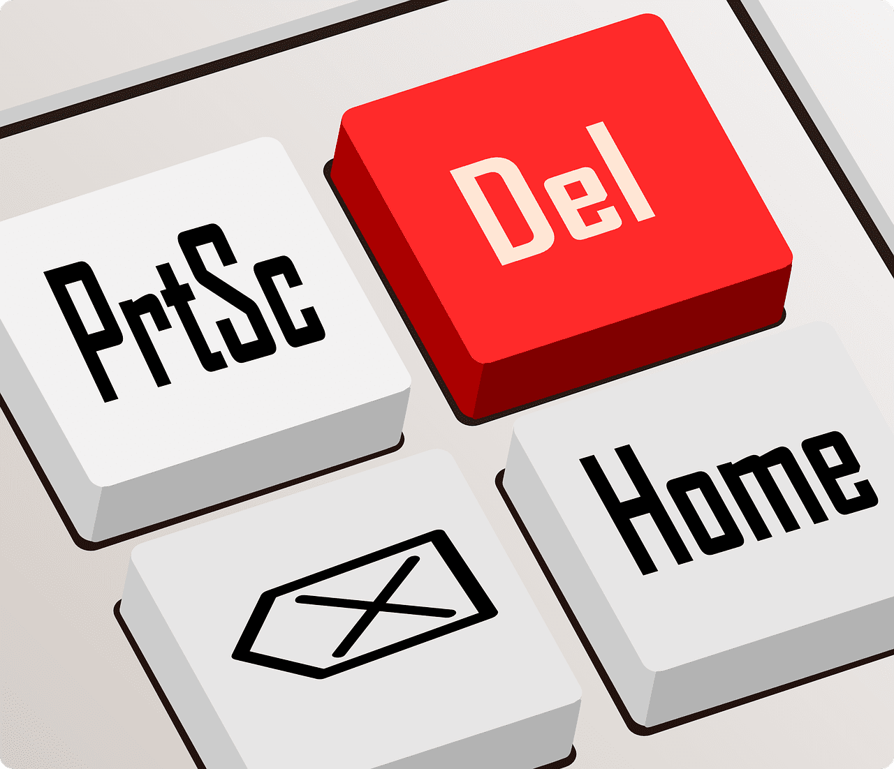 Deleting a WordPress Plugin