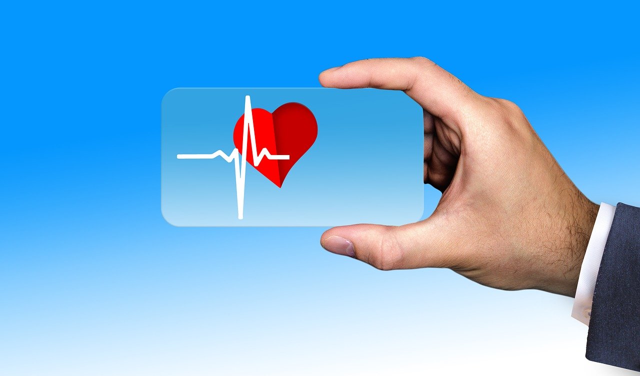 How to use WordPress Health Check