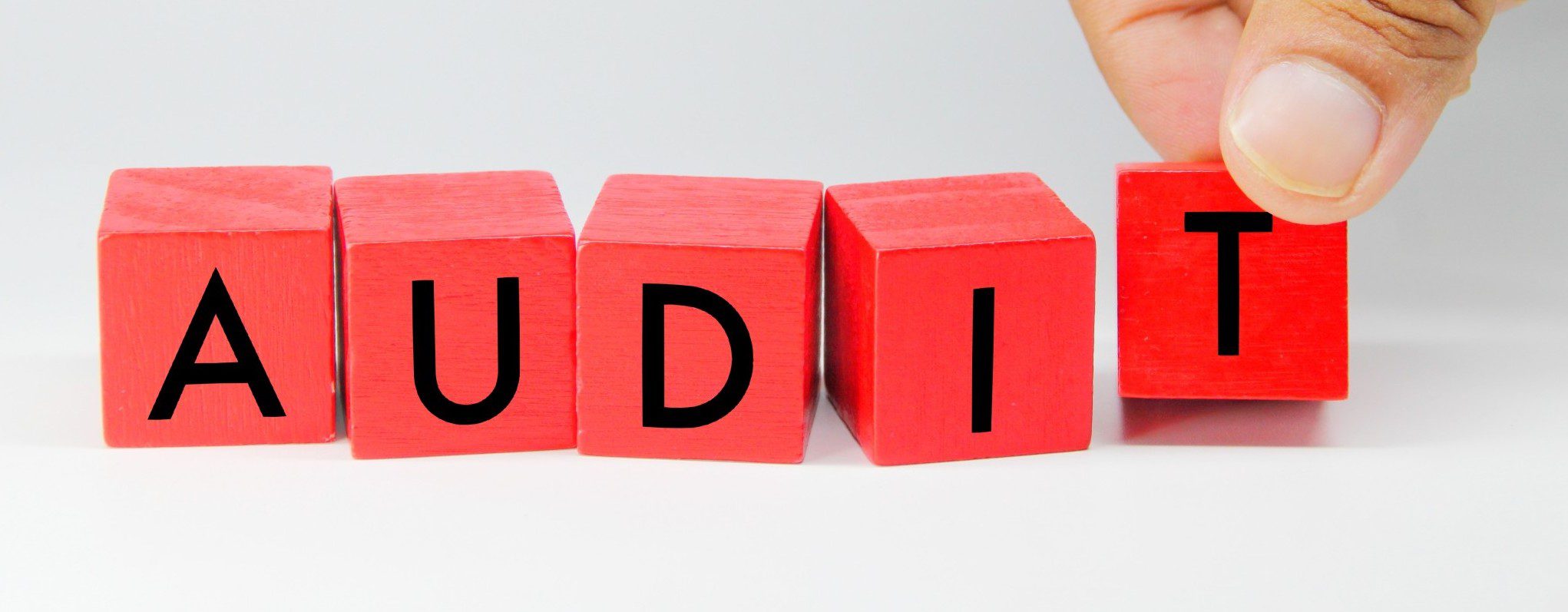 WordPress Auditing Plugins - Not Big Brother - Smart Management