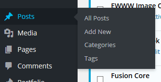 Creating a new Post in WP