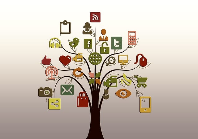 How to add social media icons to your WordPress site