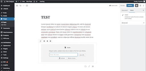 an audio block will appear within the editor, a2